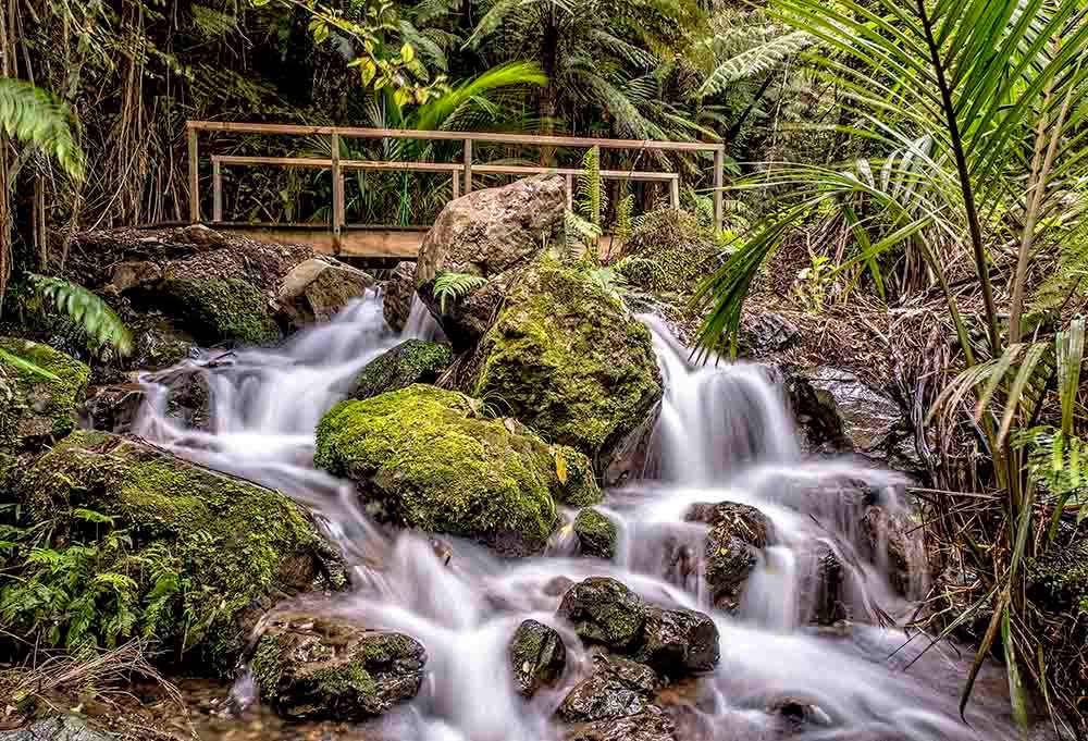 Waterfall Mountain_waterfall Waterfall Mountain Waterfall on property
